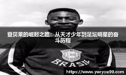 雷火亚洲电竞平台